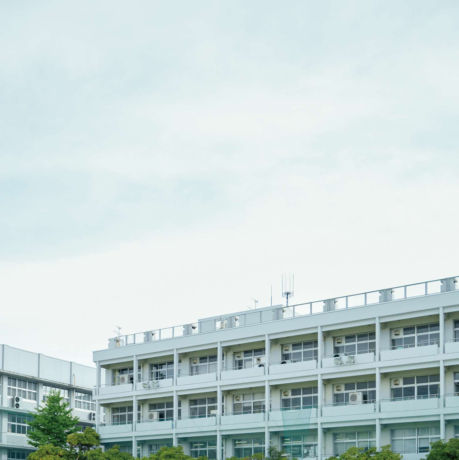 新潟青陵高校について　メイン画像