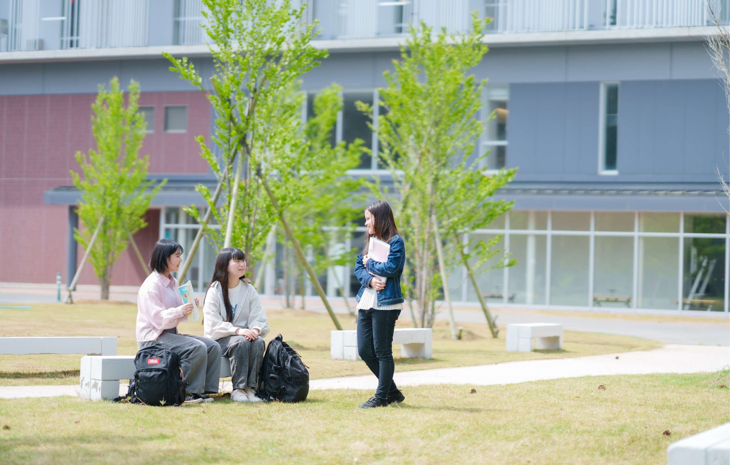 青陵通信制　メイン画像